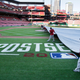 Illustration for article titled Bad News, Baseball Fans